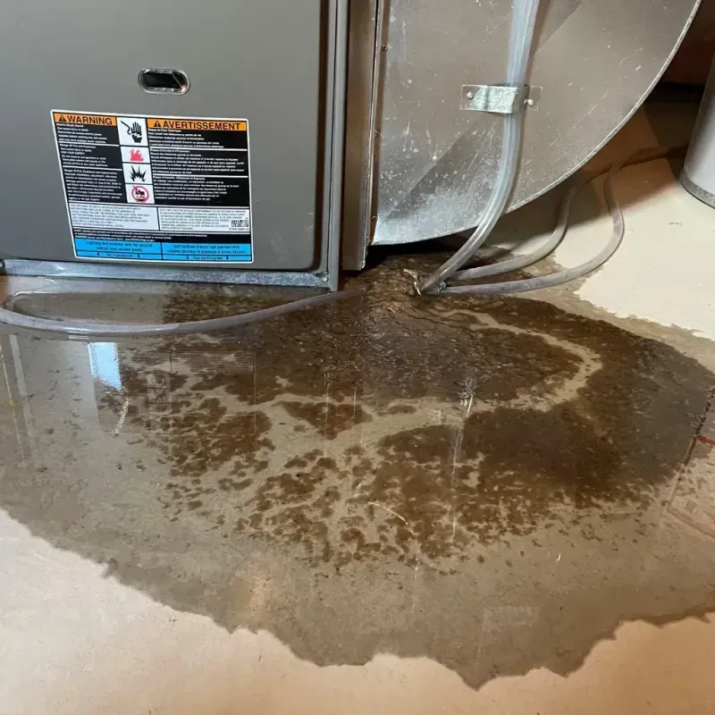 Appliance Leak Cleanup in New Madrid, MO